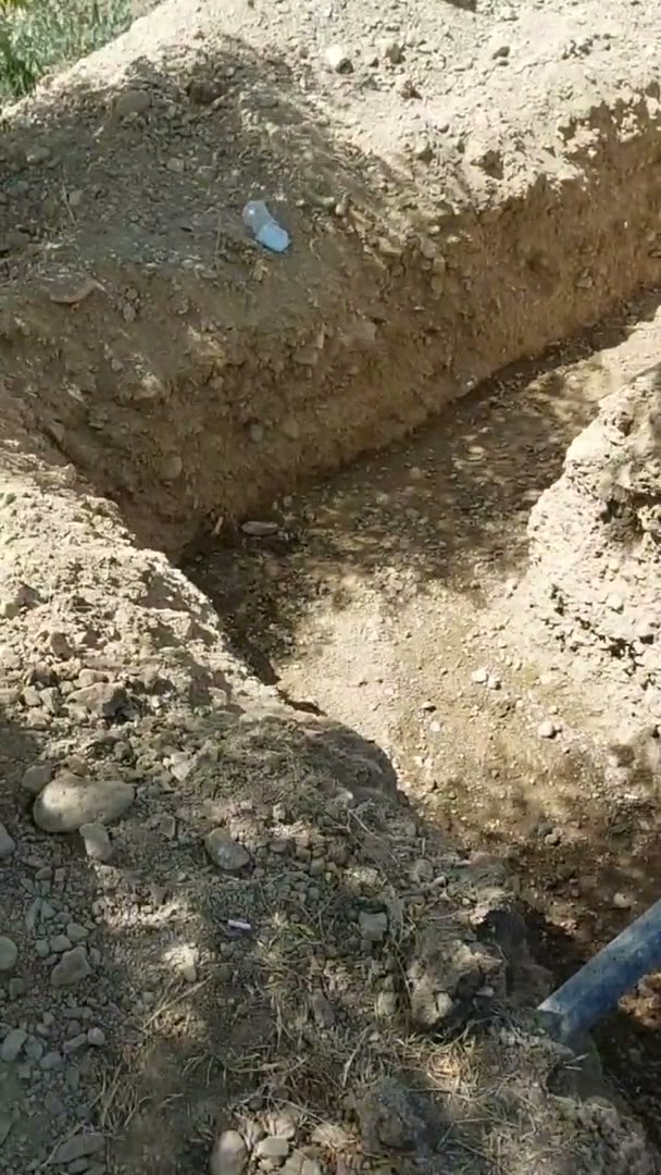 Նախագծի տեսանյութ 5